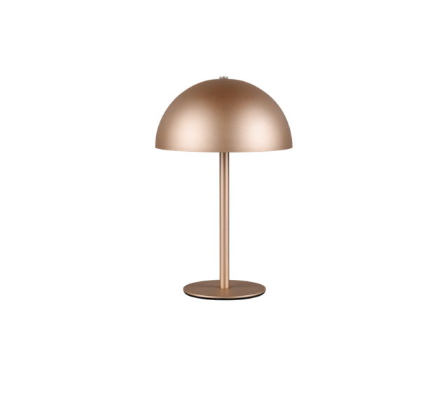 IP20