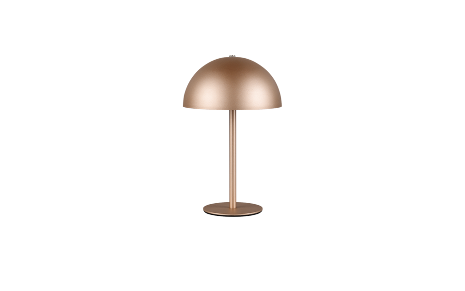 Trio Lighting Trio MUNOZ LED table lamp | 1x 1.3W 120 lm 3000K | mocha brown | Ø 13 cm | 21 cm
