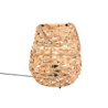 Kleur