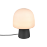 Kleur
