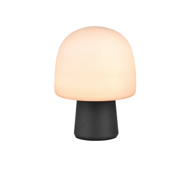 IP20