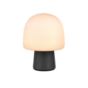 IP20 IP20