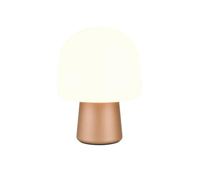 IP20 IP20