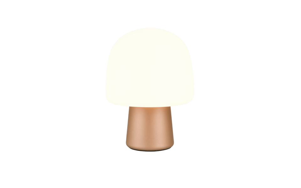 Trio Lighting Trio STEEN tafellamp | E14 Fitting | bruin met wit | Ø 20 cm | IP20 | excl. 1x E14 | max. 10W Trio Lighting Trio STEEN tafellamp | E14 Fitting | bruin met wit | Ø 20 cm | IP20 | excl. 1x E14 | max. 10W