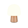 IP20 IP20