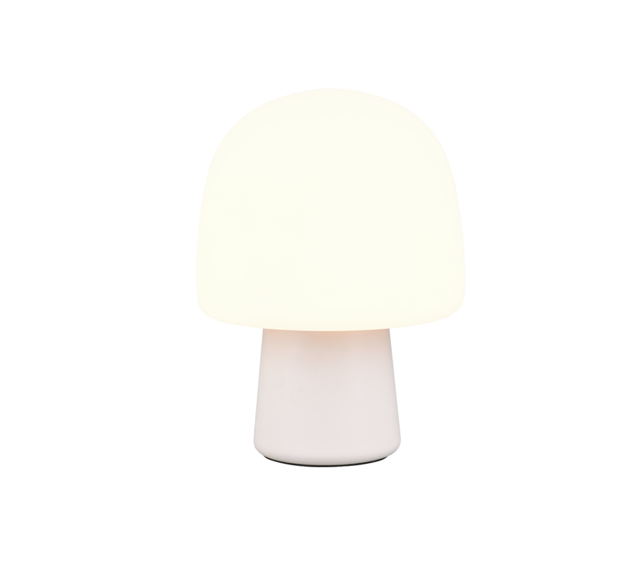 IP20
