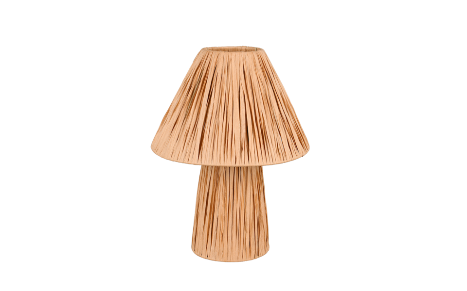 Trio Lighting Trio ANEA table lamp | 2x E14 max 40W | Ø 24 cm | 30 cm