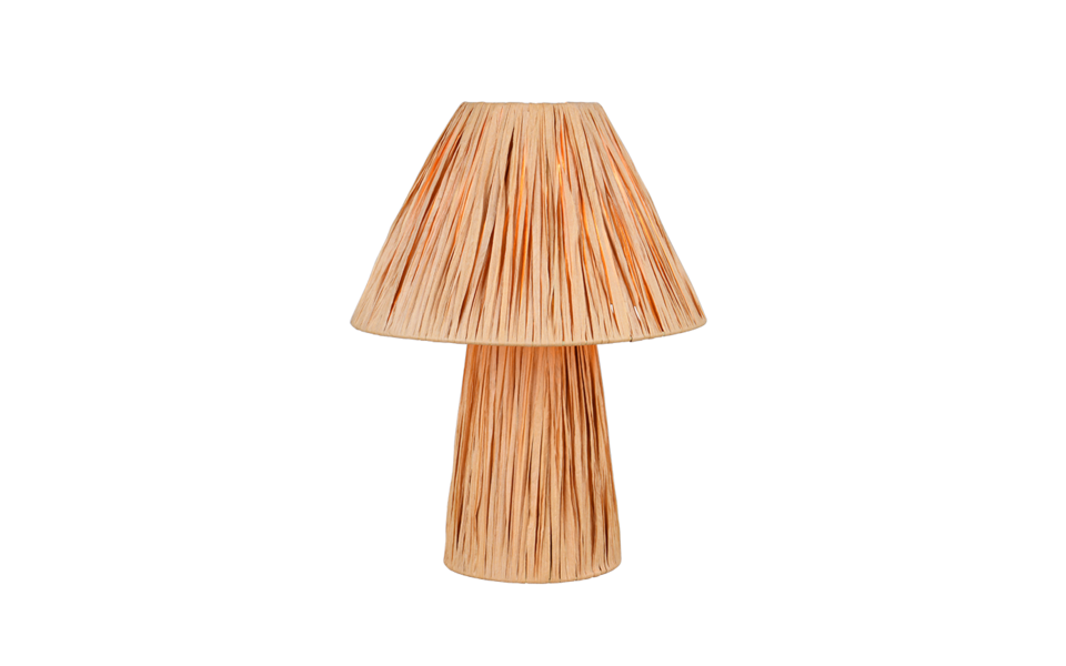 Trio Lighting Trio ANEA table lamp | 2x E14 max 40W | Ø 24 cm | 30 cm