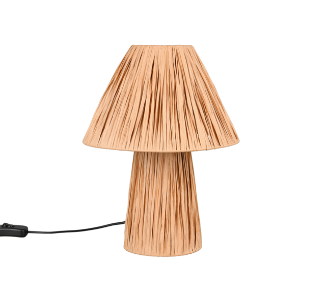 IP20