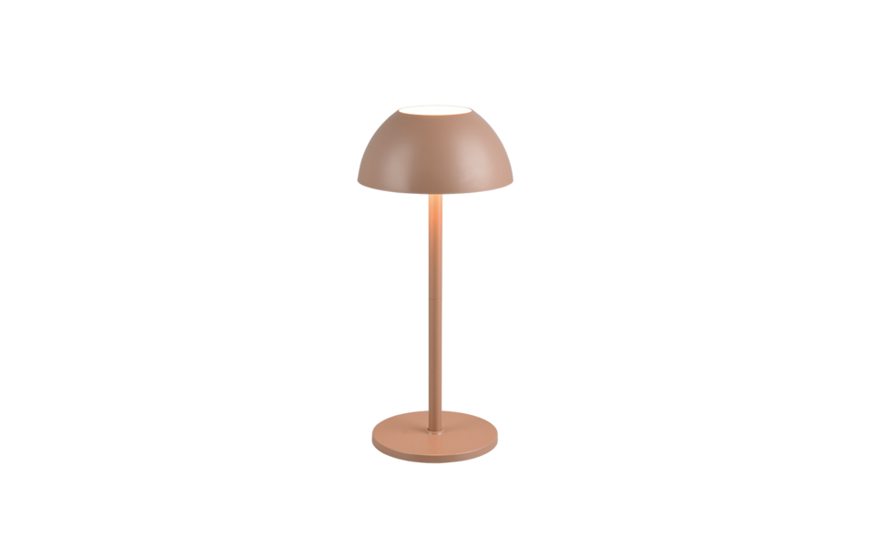 Trio Lighting Trio RICARDO LED table lamp | 1x 1.5W 240 lm 3000K | mocha brown | Ø 13.5 cm | 30 cm