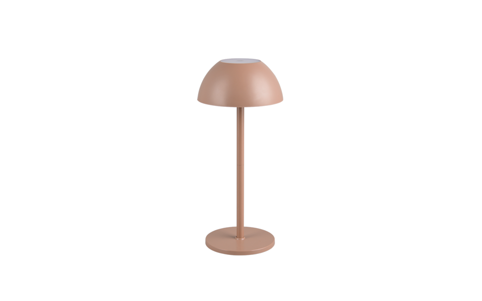 Trio Lighting Trio RICARDO LED table lamp | 1x 1.5W 240 lm 3000K | mocha brown | Ø 13.5 cm | 30 cm