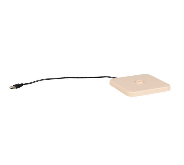 IP54