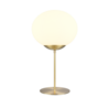 IP20
