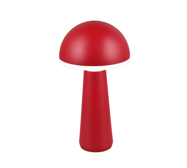 IP54