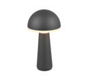 Trio Lighting Trio FUNGO LED table lamp | 1x 2W 200 lm 5000K | Ø 16 cm | 31 cm