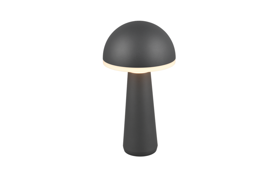 Trio Lighting Trio FUNGO LED table lamp | 1x 2W 200 lm 5000K | Ø 16 cm | 31 cm