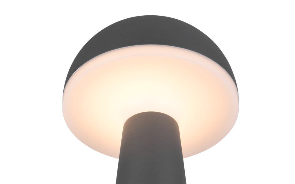 Trio Lighting Trio FUNGO LED table lamp | 1x 2W 200 lm 5000K | Ø 16 cm | 31 cm