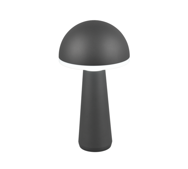 IP54