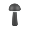 IP54