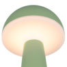 Pistaziengrün
