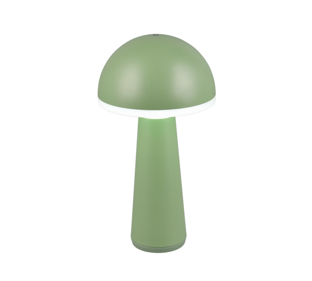 IP54