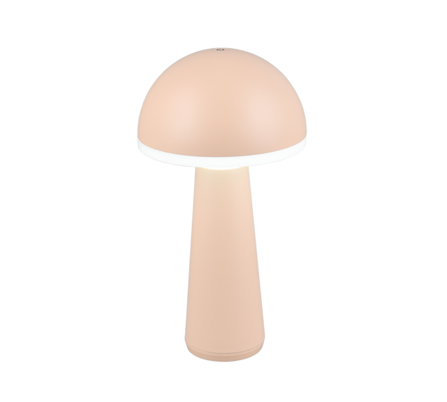 IP54