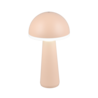 IP54