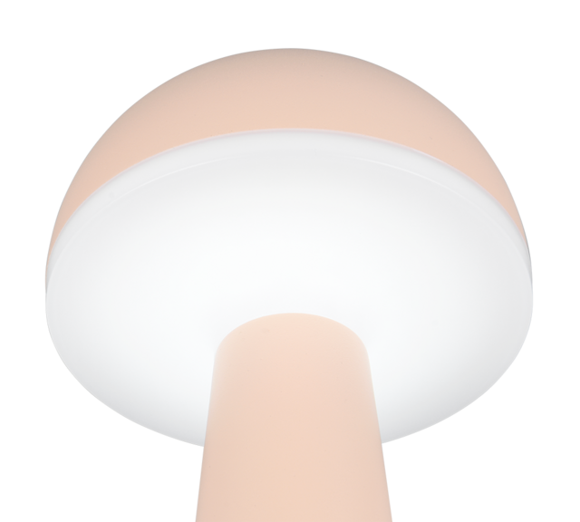 Dimfunctie