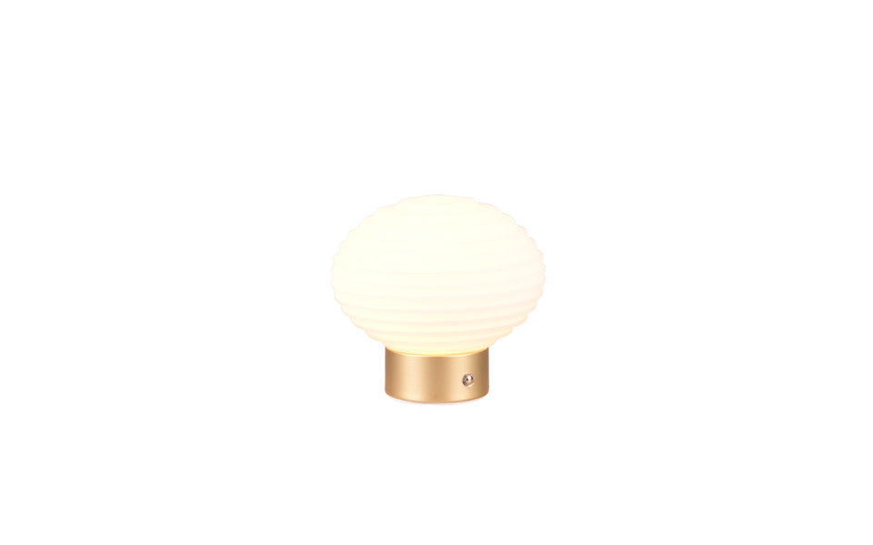 Trio Lighting Trio EARL tafellamp | LED | messing mat met wit | Ø 15,5 cm | IP20 | 1x 1,5W | 100 lm | 3000K Trio Lighting Trio EARL tafellamp | LED | messing mat met wit | Ø 15,5 cm | IP20 | 1x 1,5W | 100 lm | 3000K