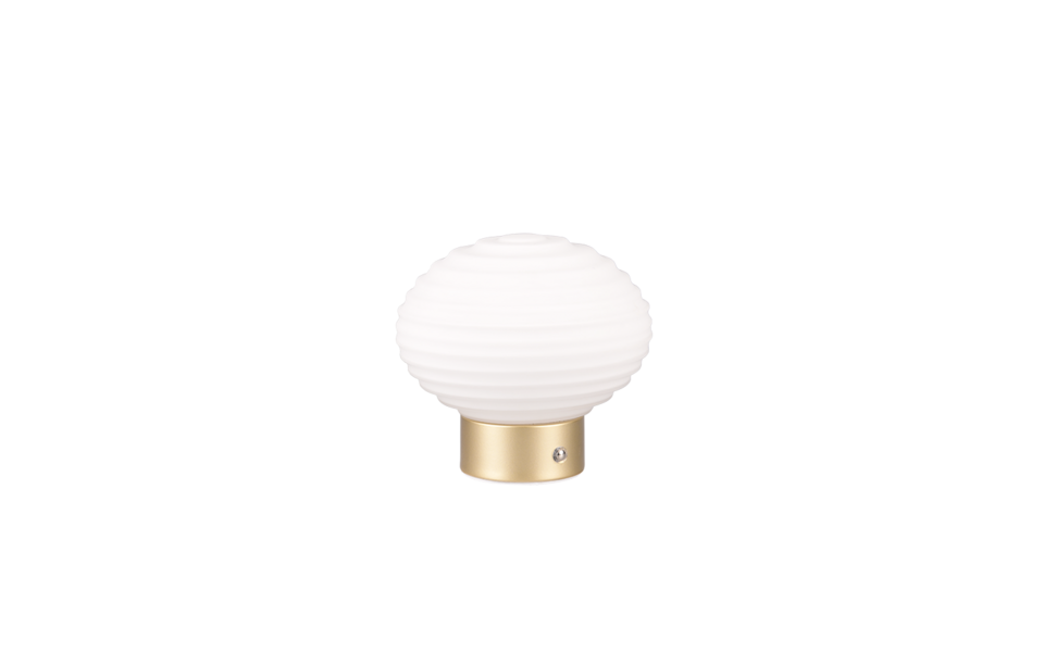 Trio Lighting Trio EARL tafellamp | LED | messing mat met wit | Ø 15,5 cm | IP20 | 1x 1,5W | 100 lm | 3000K Trio Lighting Trio EARL tafellamp | LED | messing mat met wit | Ø 15,5 cm | IP20 | 1x 1,5W | 100 lm | 3000K