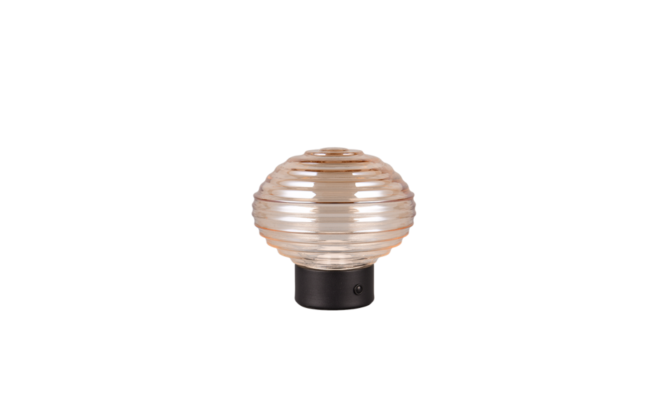 Trio Lighting Trio EARL LED table lamp | 1x 2W 200 lm 3000K | Ø 15 cm | 15 cm