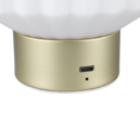 Trio Lighting Trio LORD tafellamp | LED | messing mat | Ø 13 cm | IP20 | 1x 1,5W | 100 lm | 3000K
