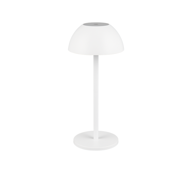 IP54