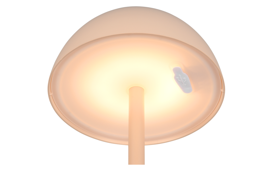 Trio Lighting Trio RICARDO LED table lamp | 1x 1.5W 240 lm 3000K | Ø 13.5 cm | 30 cm Trio Lighting Trio RICARDO LED table lamp | 1x 1.5W 240 lm 3000K | Ø 13.5 cm | 30 cm