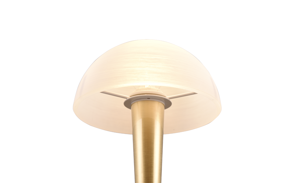 Trio Lighting Trio CANARIA table lamp | 1x E14 max 5W | 26.5 cm
