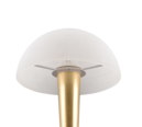Trio Lighting Trio CANARIA table lamp | 1x E14 max 5W | 26.5 cm