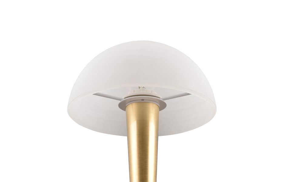 Trio Lighting Trio CANARIA table lamp | 1x E14 max 5W | 26.5 cm