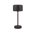 Trio Lighting Trio JEFF table lamp | 1.5W | black with brass | 30 cm