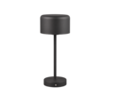Trio Lighting Trio JEFF table lamp | 1.5W | black with brass | 30 cm