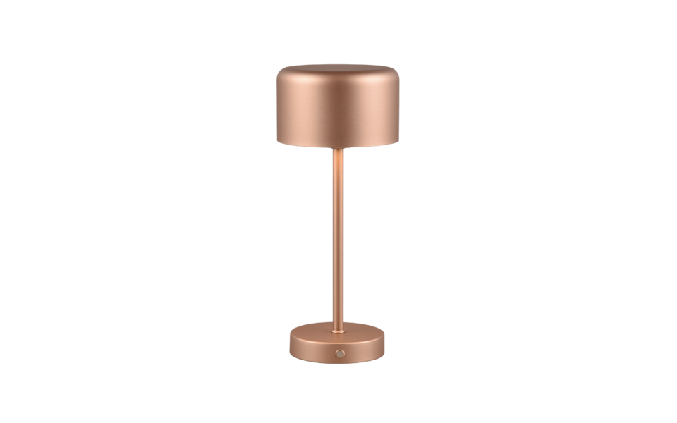 Trio Lighting Trio JEFF table lamp | 1.5W | mocha brown with brass | 30 cm