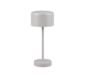 Trio Lighting Trio JEFF table lamp | 1.5W | brass with nickel | 30 cm