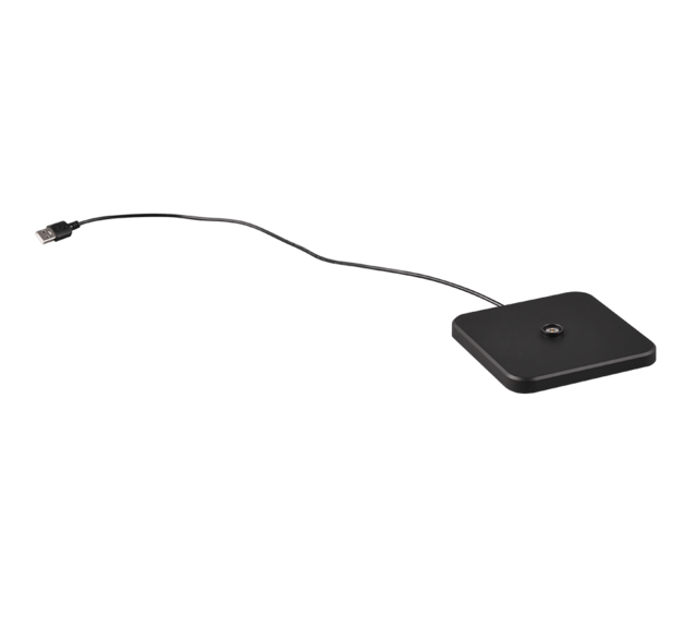 IP54