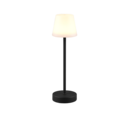 Trio Lighting Trio MARTINEZ LED table lamp | 1x 2.2W 250 lm 2700-6500K | black | Ø 11 cm | 39 cm