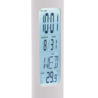 Wit