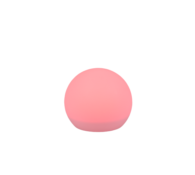 Wit