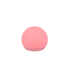Wit