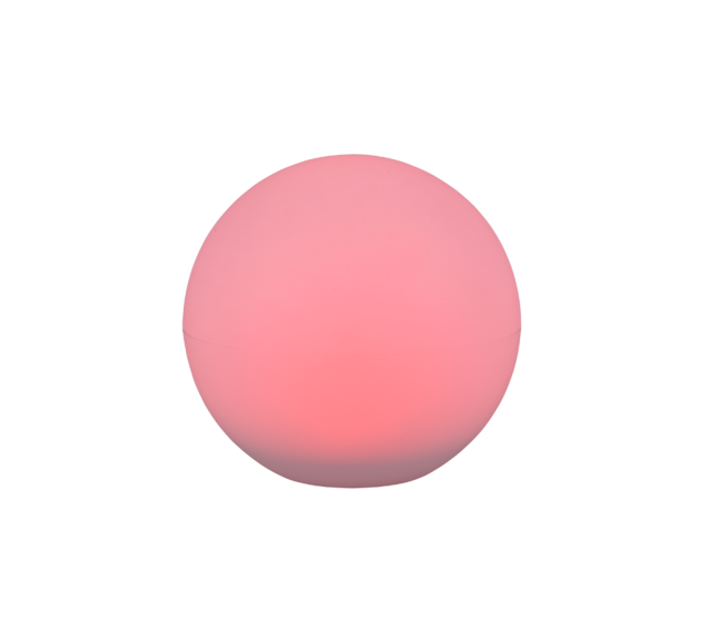Wit