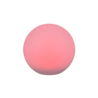 Wit