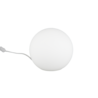 Wit