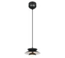 Trio Lighting Trio AMARILA hanglamp | E14 Fitting | mat zwart | Ø 25 cm | IP20 | excl. 1x E14 | max. 40W